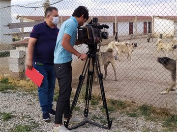 Kangal çiftliği tv çekimi 